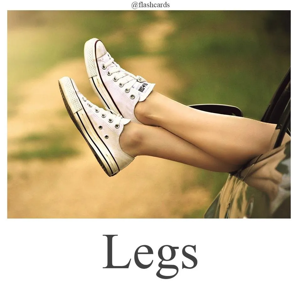 Legs.jpg