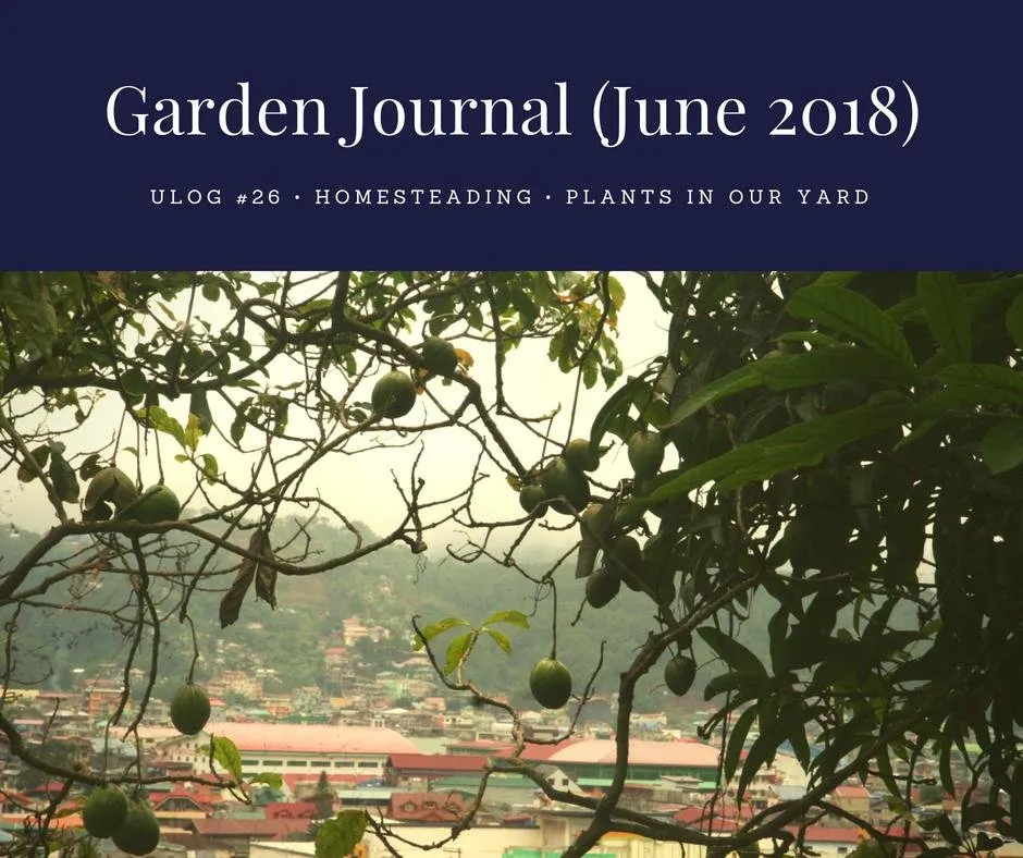 Garden Journal (June 2018).jpg