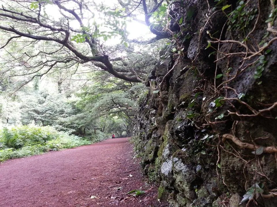 20130907_140122.jpg