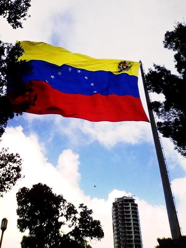 bandera avila.jpg