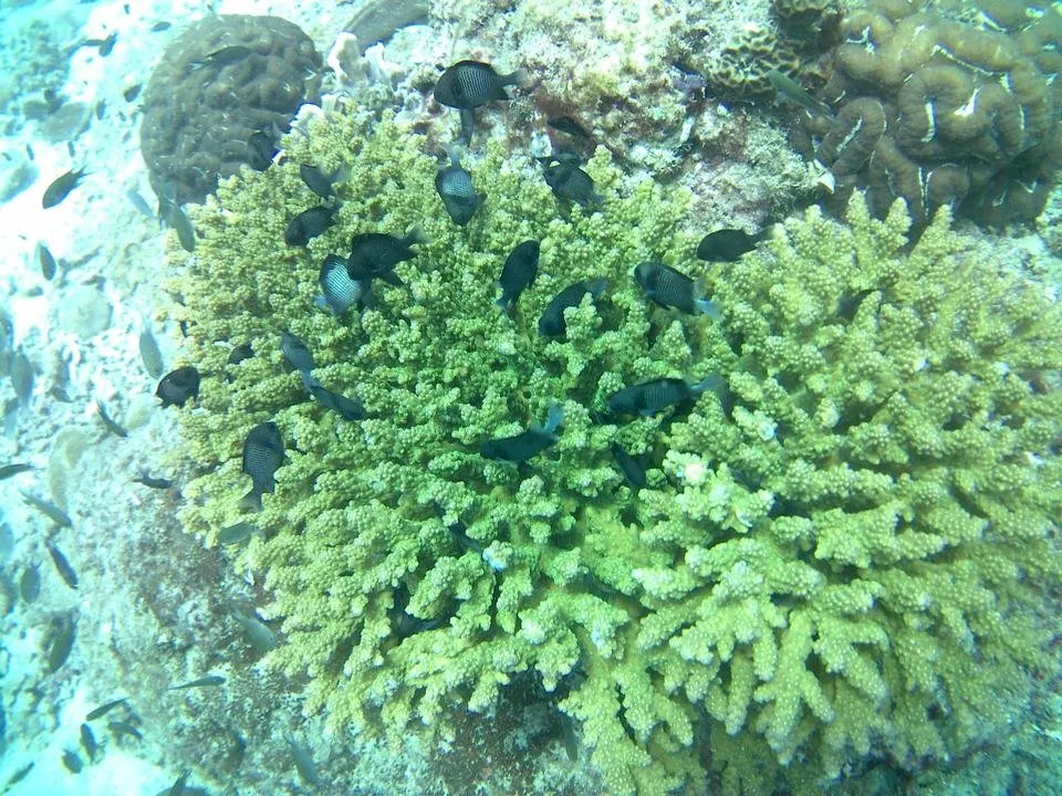 20170101_021602A.jpg