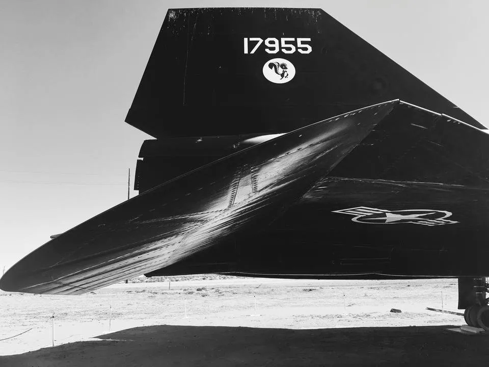 blackbird 001.jpg