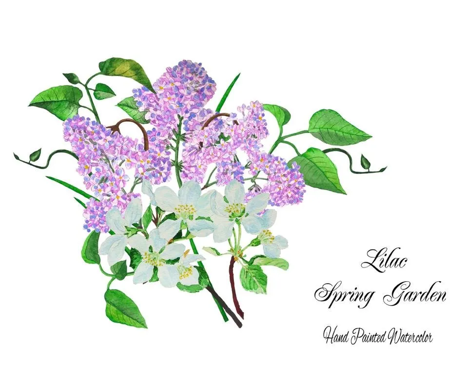 Lilac Spring Garden 7.jpg