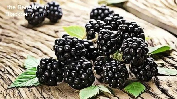 the Benefits of Blackberry Fruit.jpg