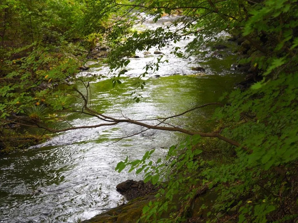 _9020678.JPG