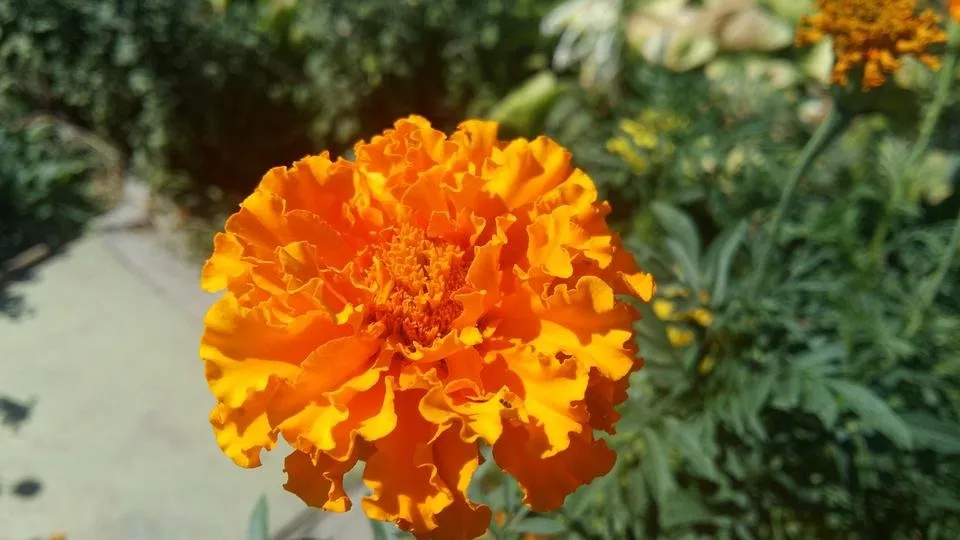 20180811_115246.jpg