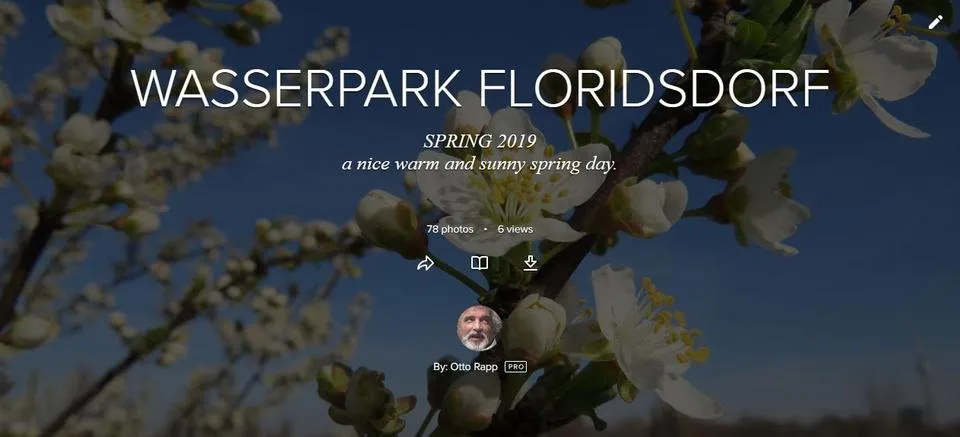 1-screenclip Flickr Album.JPG