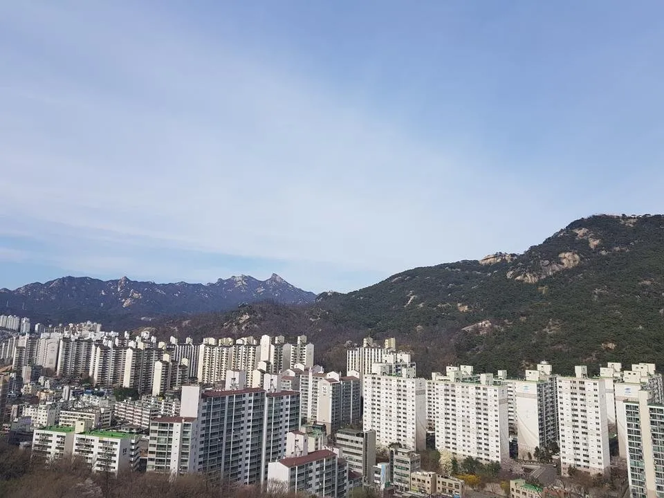 20190407_152408.jpg