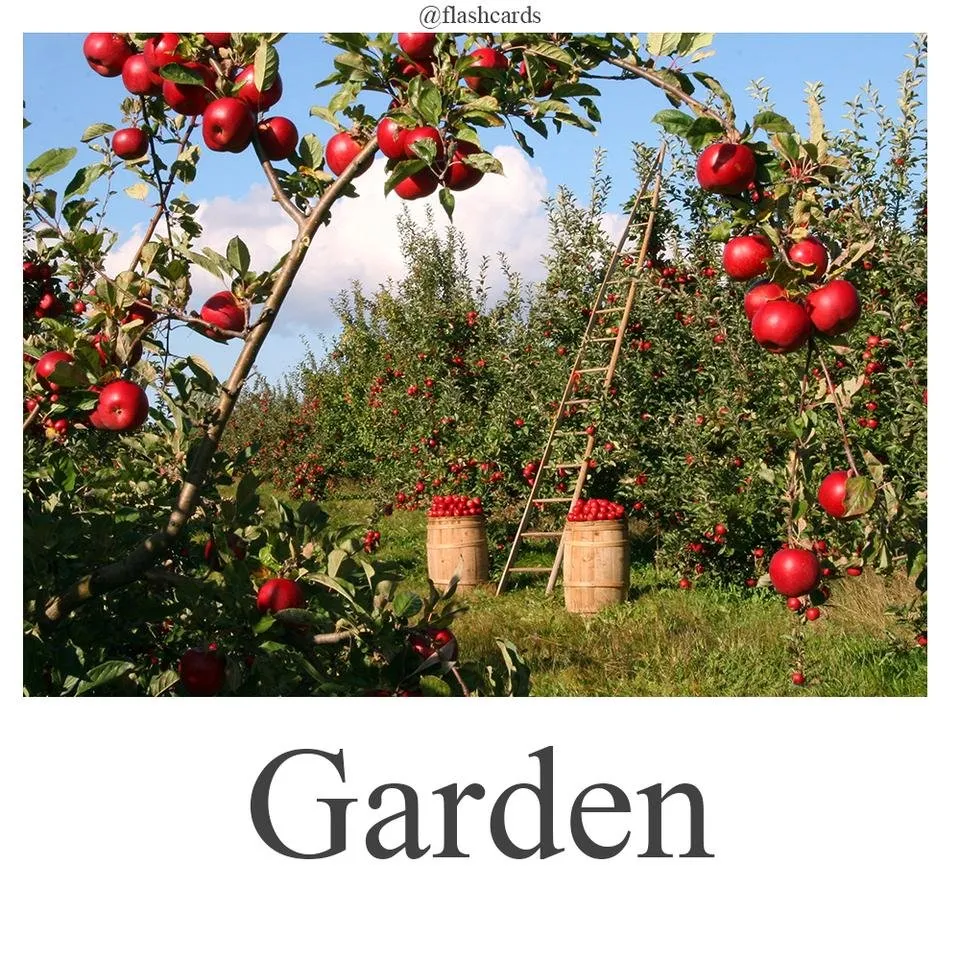 Garden.jpg