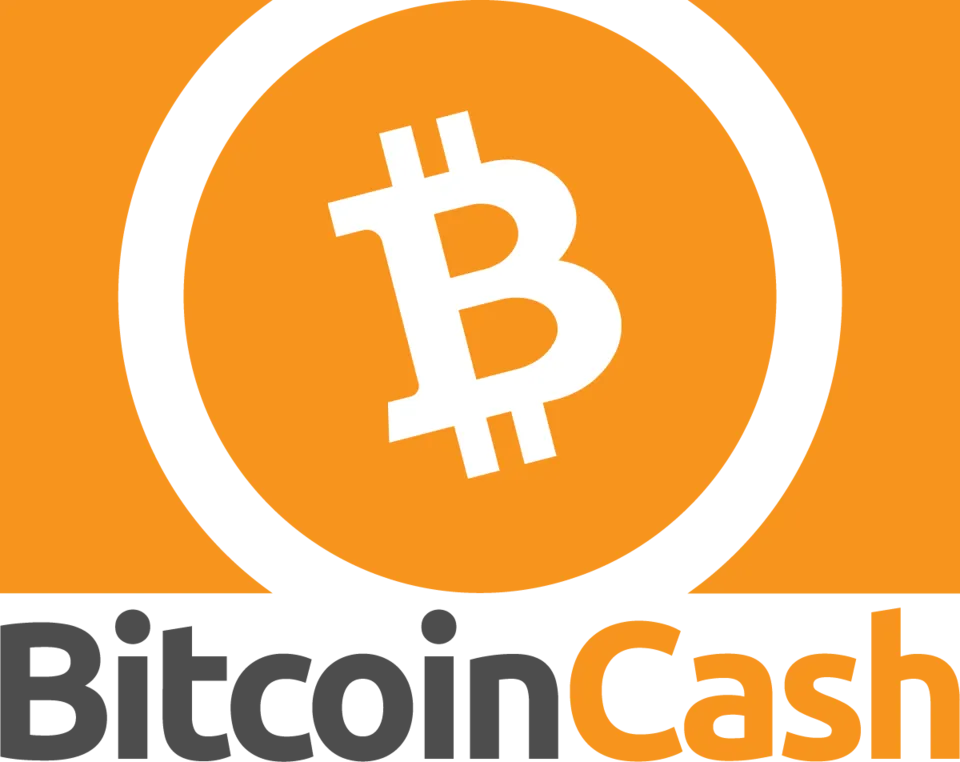3-bitcoin-cash-logo-ot-large.png
