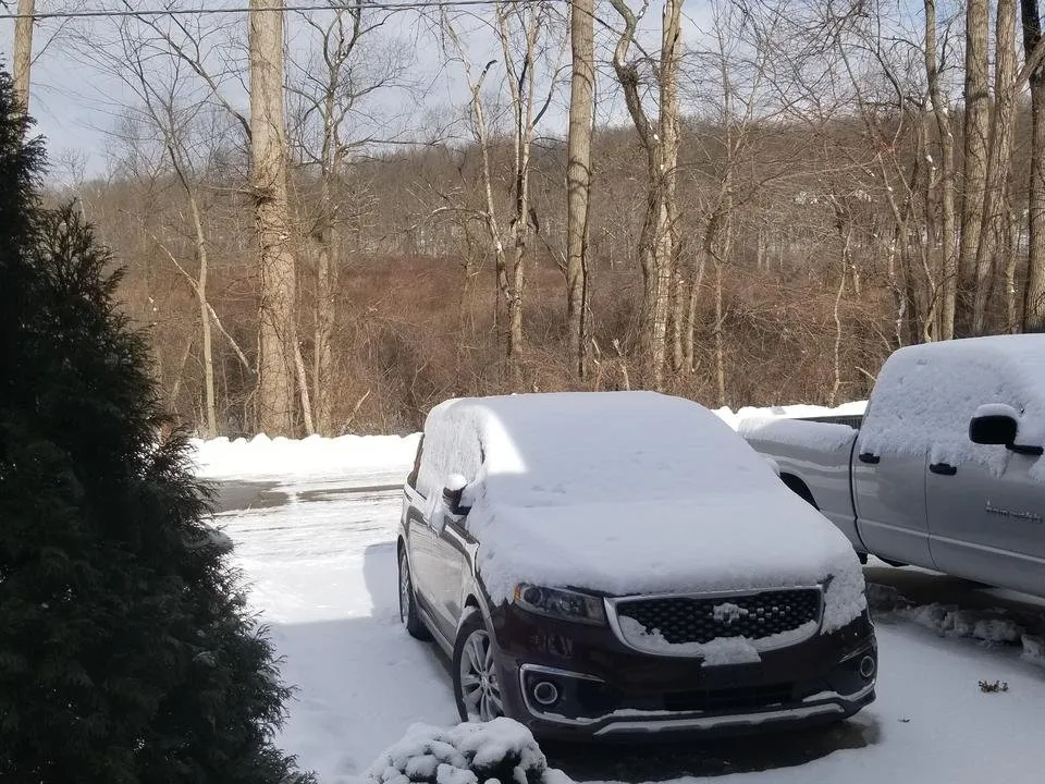 20190127_124619.jpg