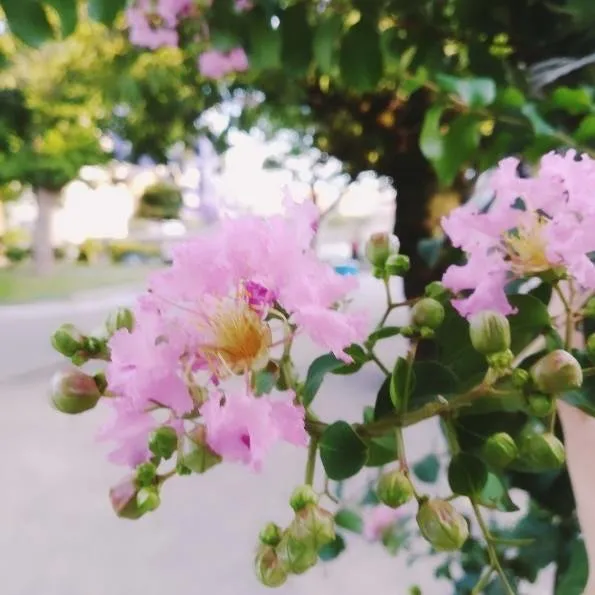 2018-08-18-17-32-05-584-595x595.jpg