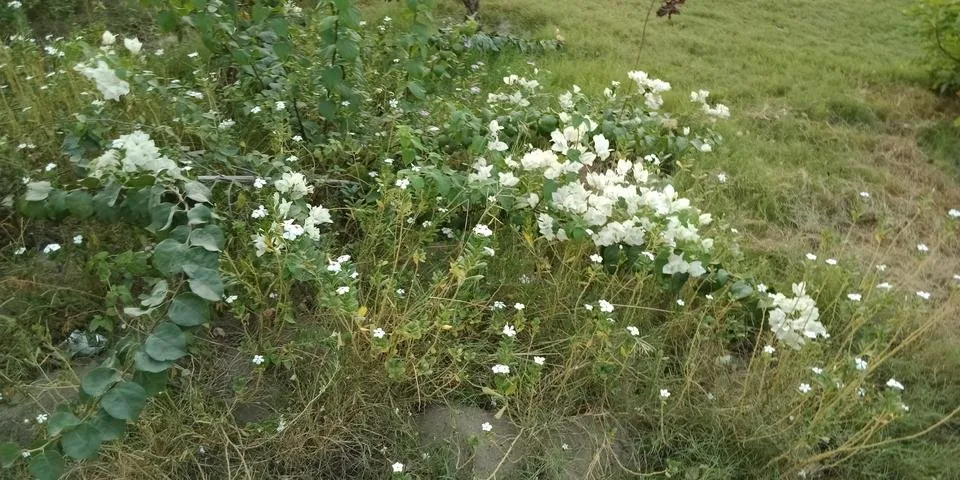 IMG20180907174705.jpg