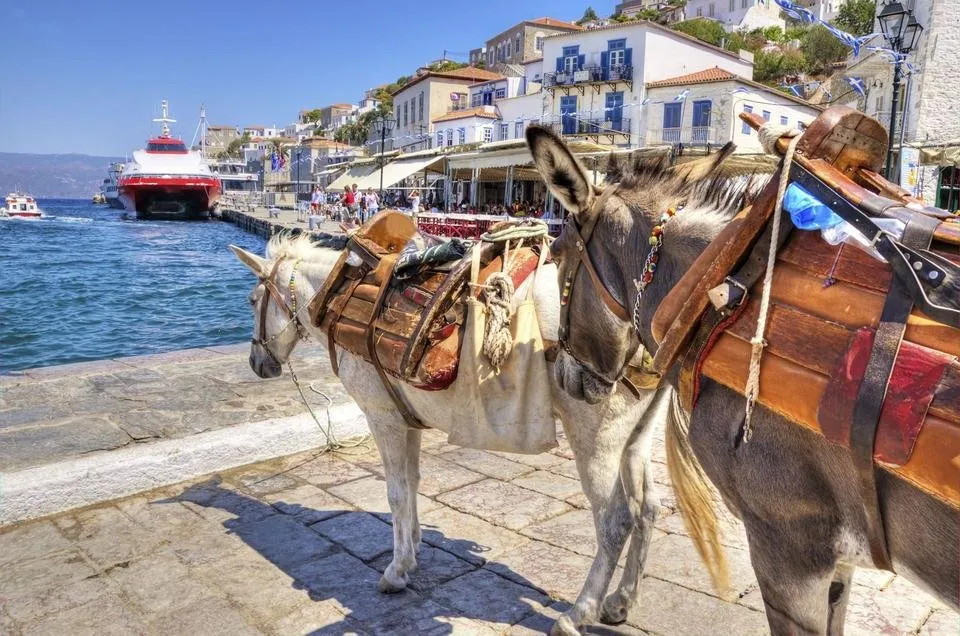donkeys-in-the-port-of-hydra.jpg