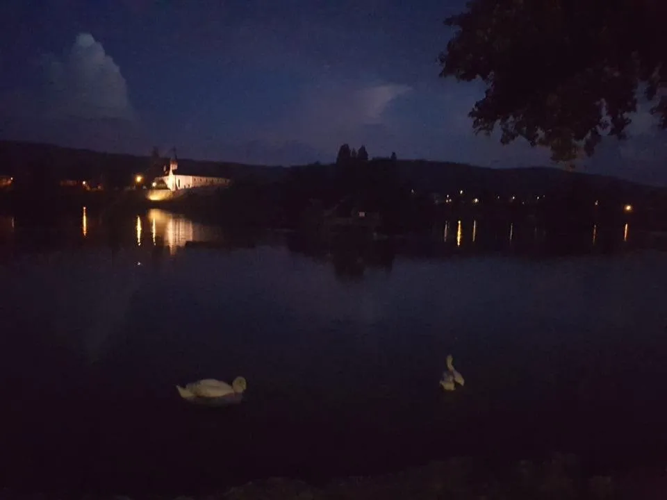 steinamrhein-reihnpark-01.jpeg