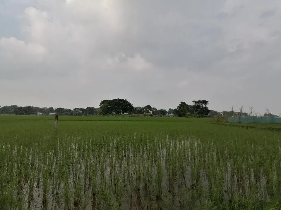 IMG_20191003_152905.jpg