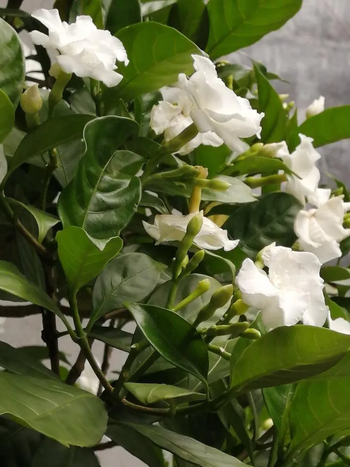 IMG_20190930_105858.jpg