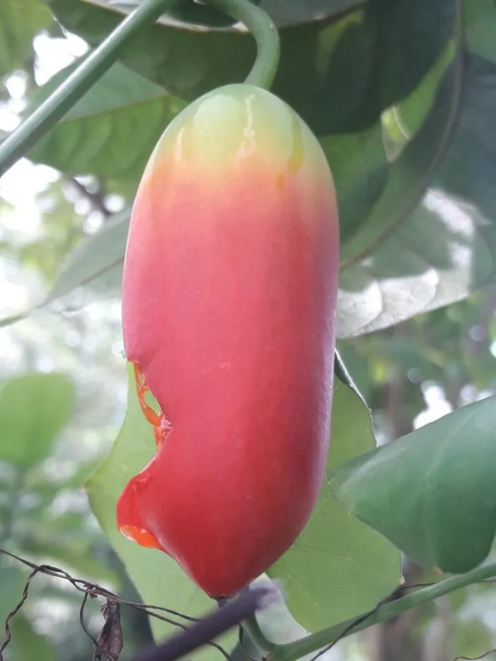 20180714_103730.jpg
