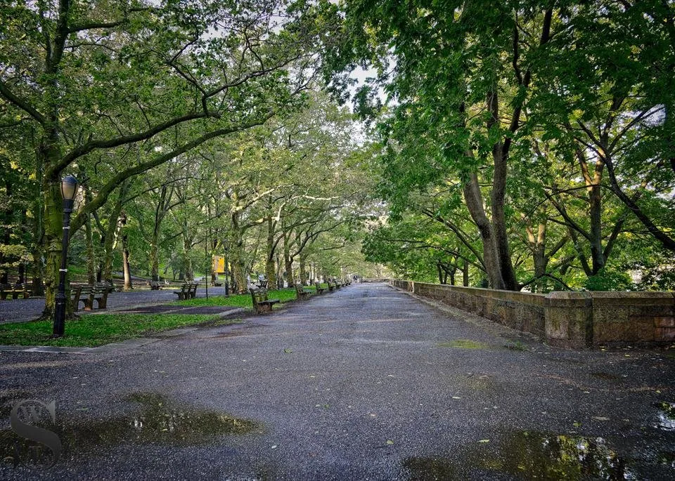 1 Wednesday Walk Riverside park west-4.jpg