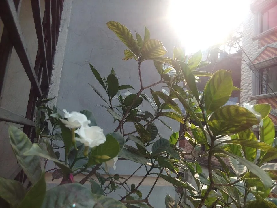 IMG_20181007_083945.jpg