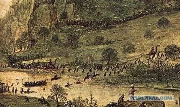 10329248.jpg