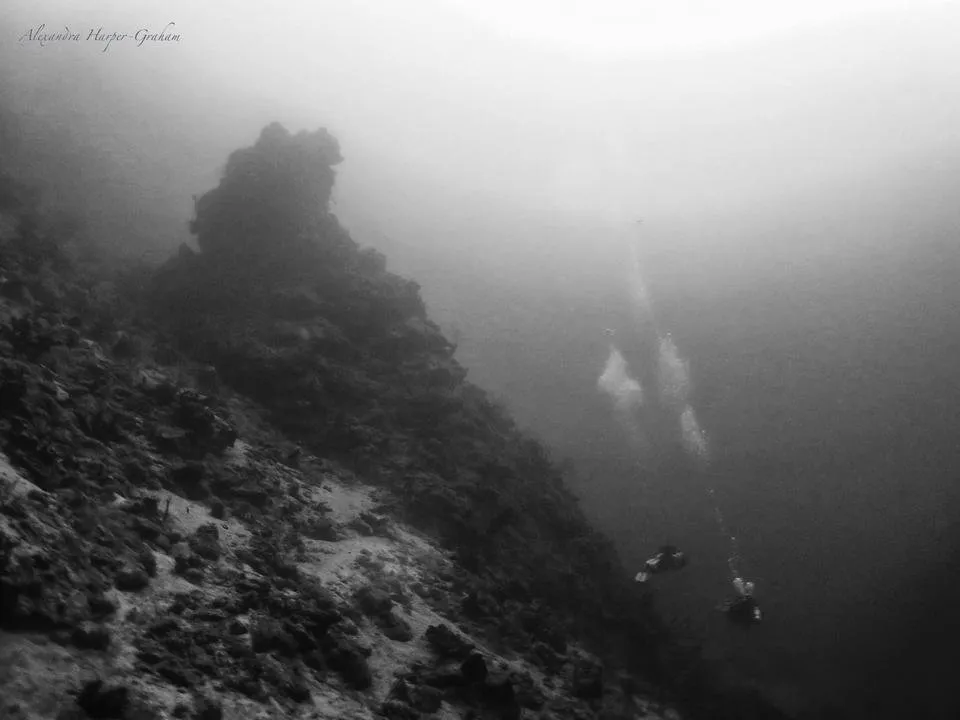 Tec Diving to 45m/150 under Pillar Coral in Roatan, Honduras