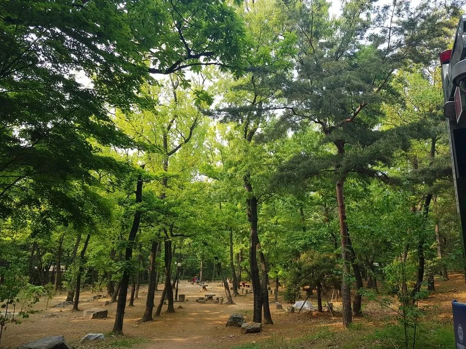 20190512_163851.jpg