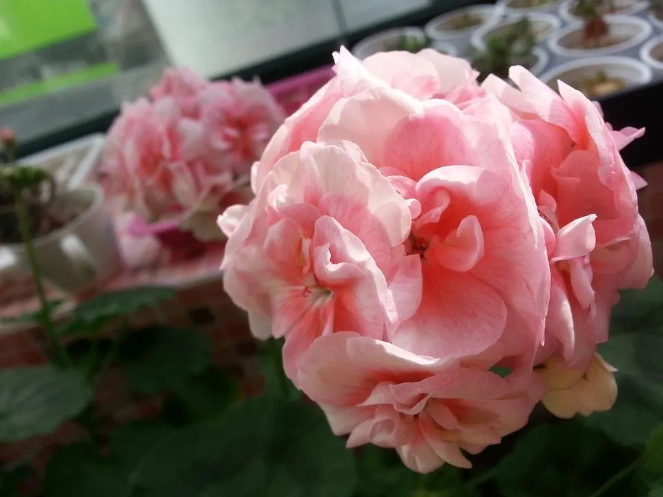 20140502_154941.jpg