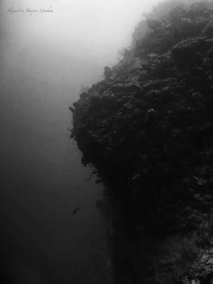 Side profile of the Monkey Face Rock formation at Roatan, Honduras