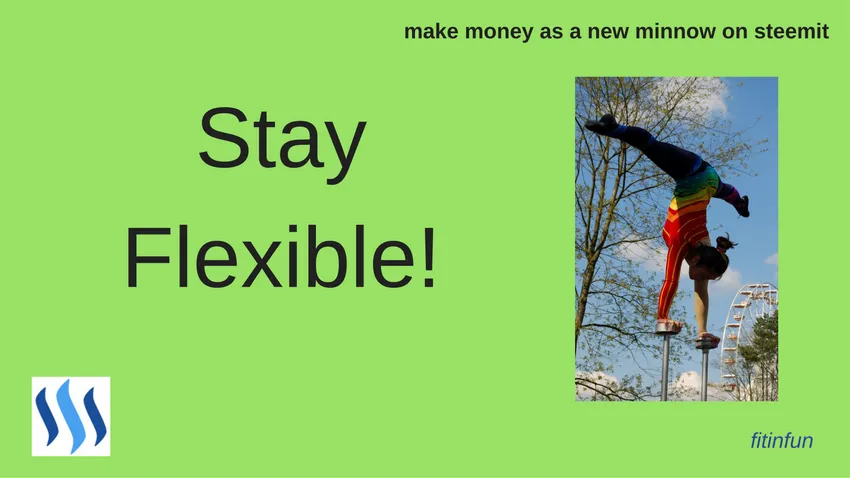 fitinfun How to make money as a new minnow on steemit stay flexible.png