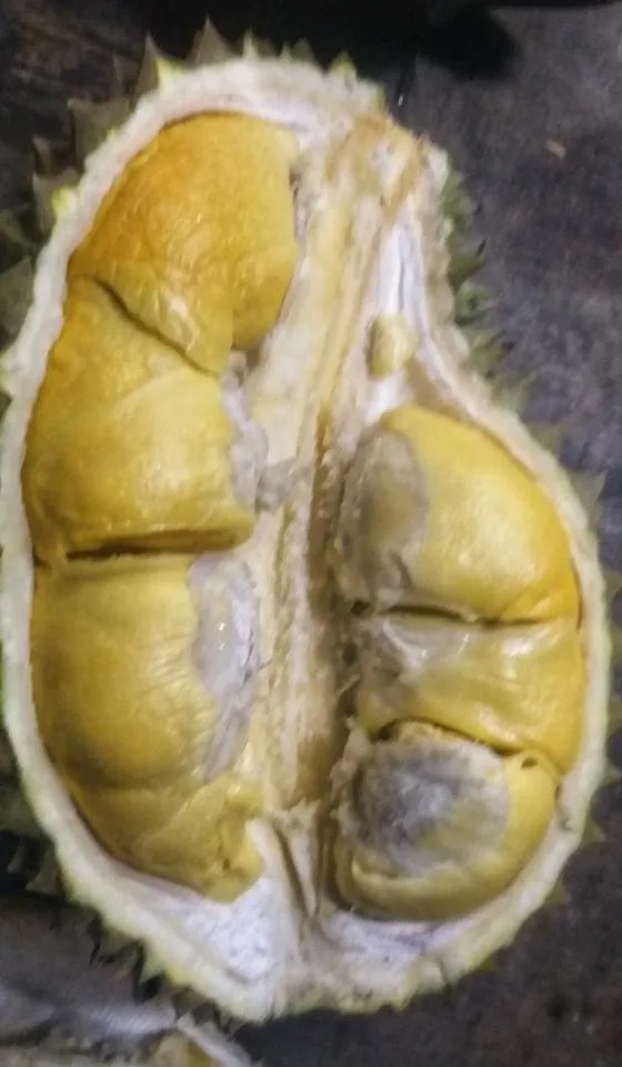 20190815_180613-01.jpeg