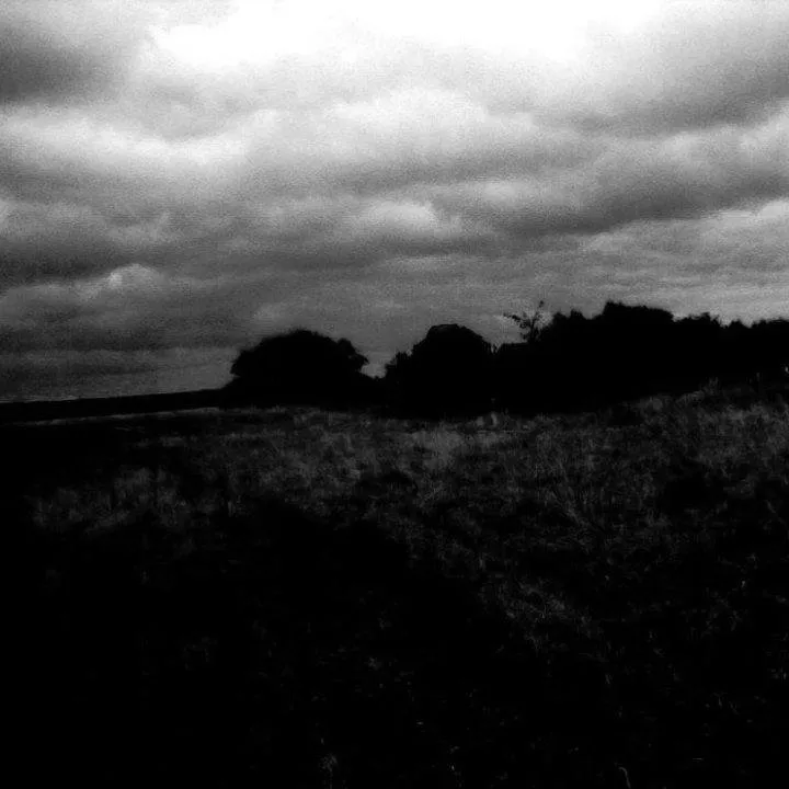 Side Of Despondency - COVER.jpg