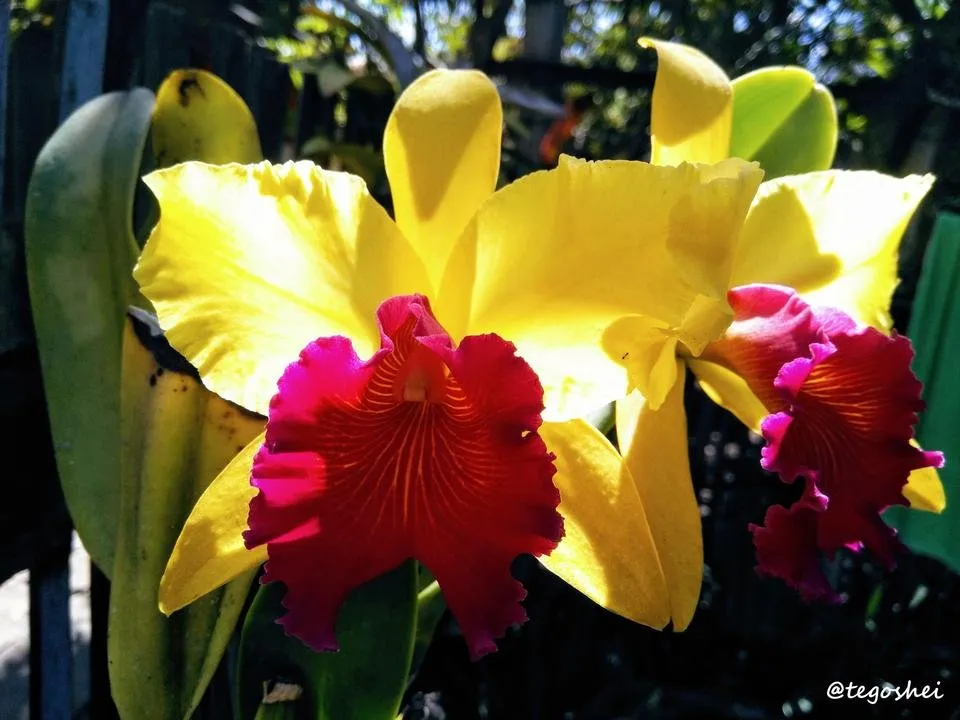 IMG_20190414_091419.jpg