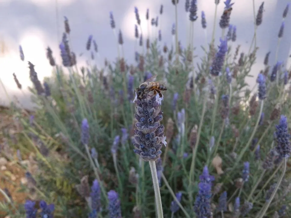 20190716_155601.jpg