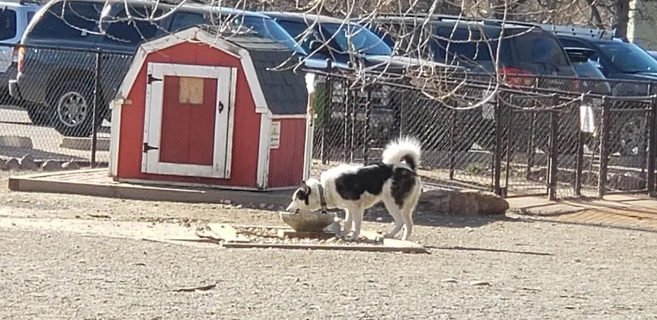 20190404_085312.jpg