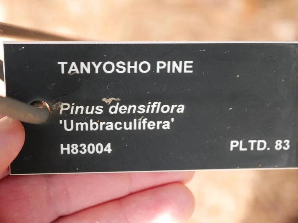 P1170653.JPG
