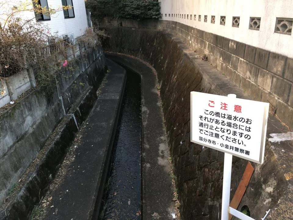 11.JPG