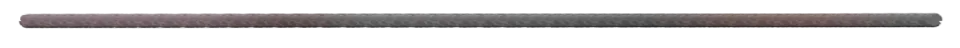 구분선_뱀피.png