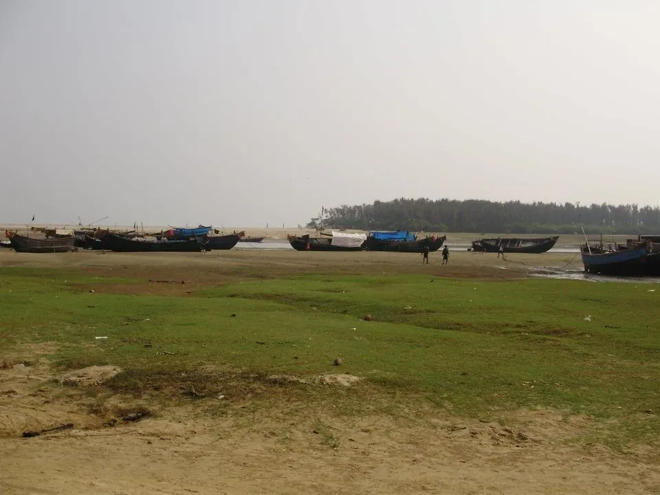 PB010212.JPG