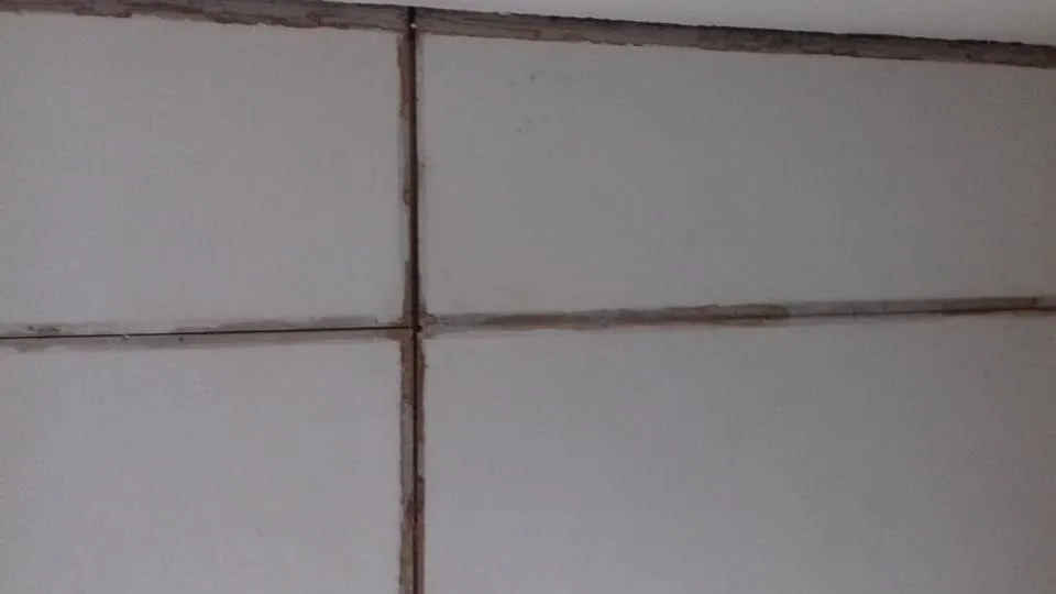 20180529_115443.jpg