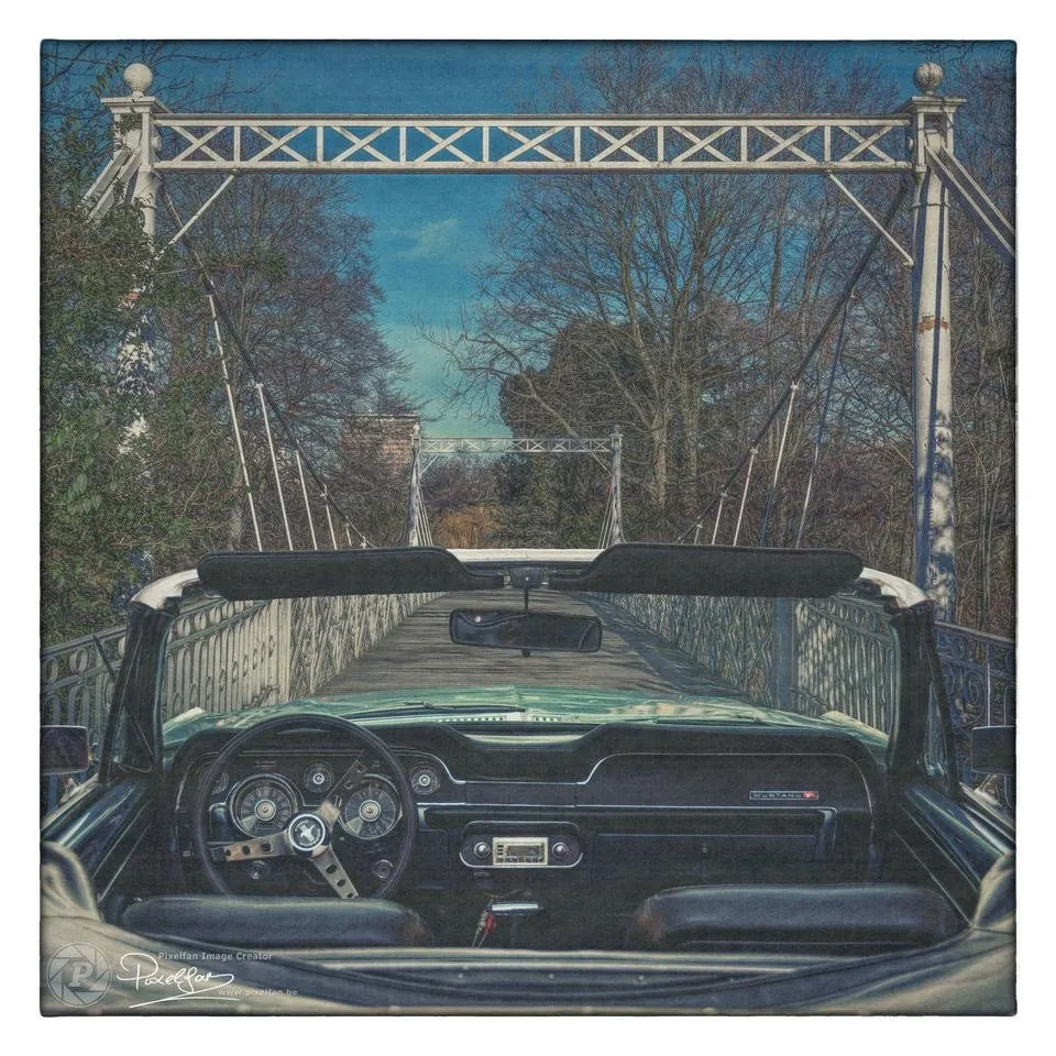 mustang_antwerpen_stadspark_border.jpg