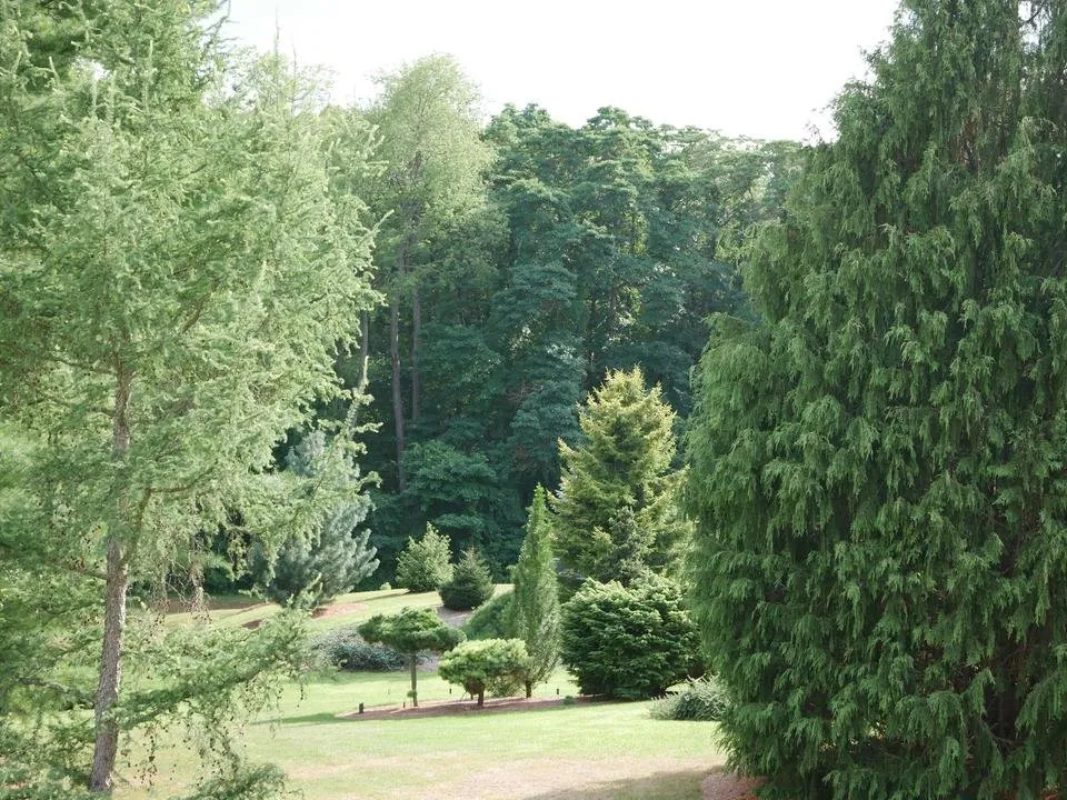 P1170645.JPG