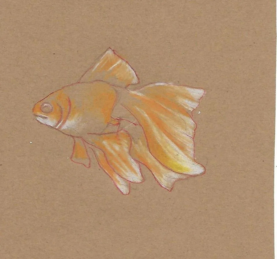 Scan_0003.jpg