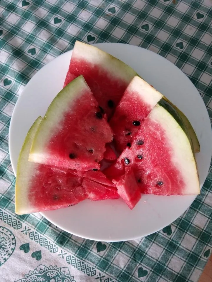 IMG_20180807_142007.jpg