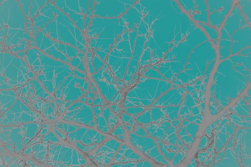 bare tree branches gray.jpg
