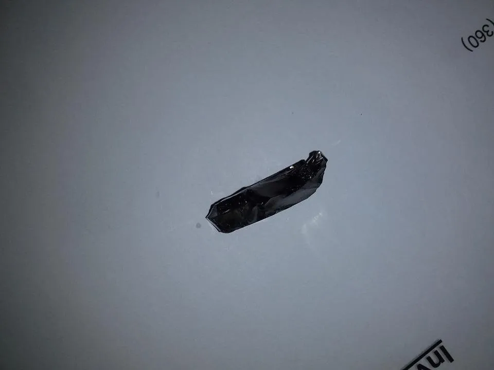 20191129_172043.jpg