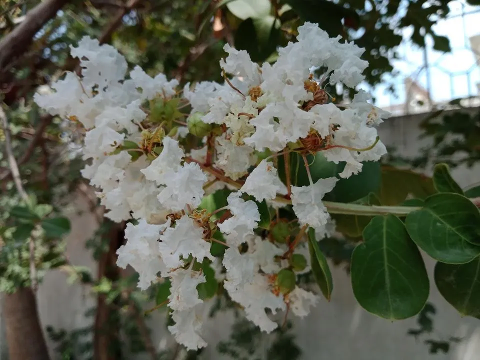 IMG20180820125938.jpg