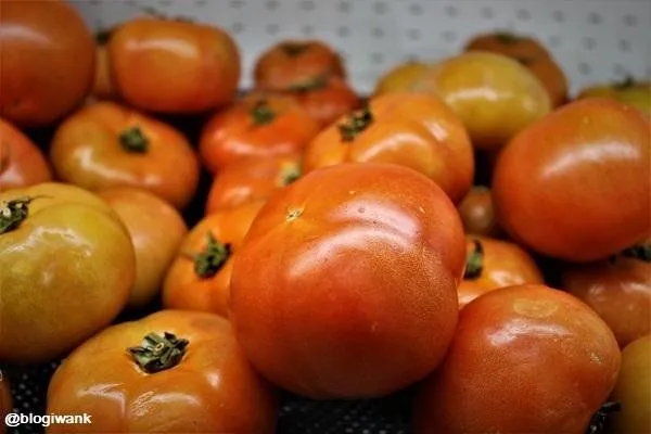 tomatto
