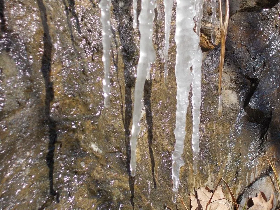 DSCN3158.JPG