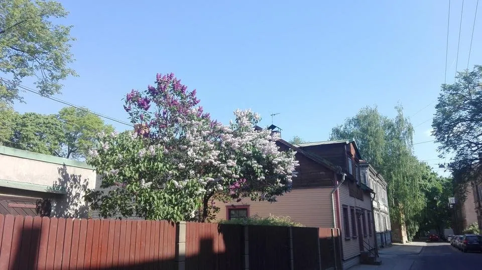 IMG_20180515_093017.jpg